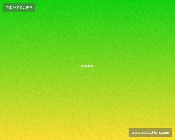 天霸电子俱乐部成员